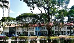 Bukit Pasoh Conservation Area (D2), Shop House #473616151